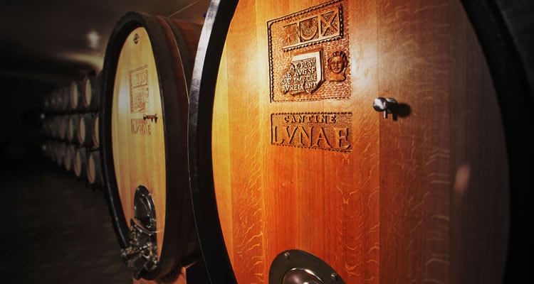 The wine cellars at Ca’ Lvnae Winery in Liguria