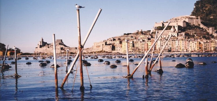 Mussel aquaculture in the waters of Portovenere , Gulf of La Spezia, Liguria