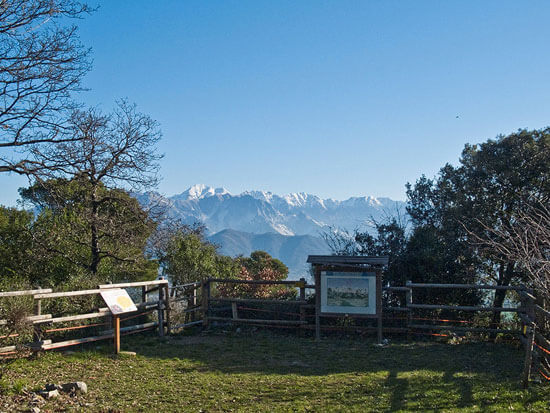 View of the Apuan Alps from Montemarcello Botanical Garden