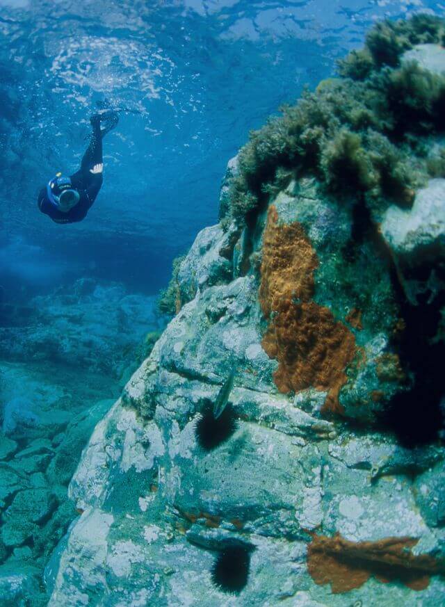 dive sites portovenere parconaturaleportovenere