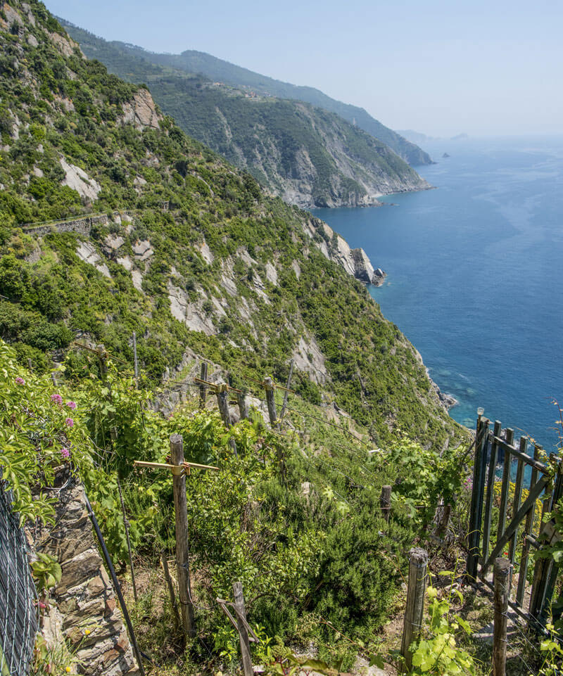 Best outdoor activities in PortovenereGulf of Poets and Cinque Terre