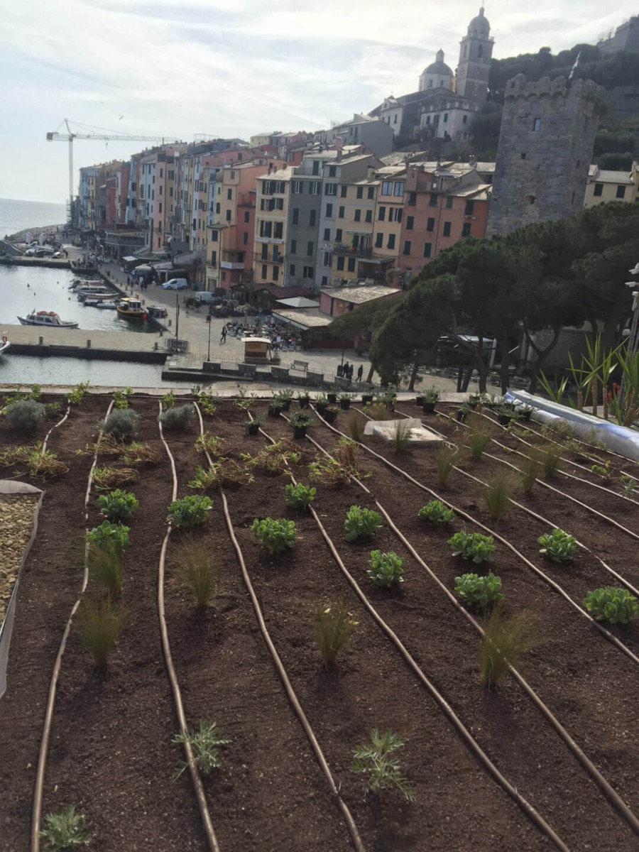 roof garden work in progress