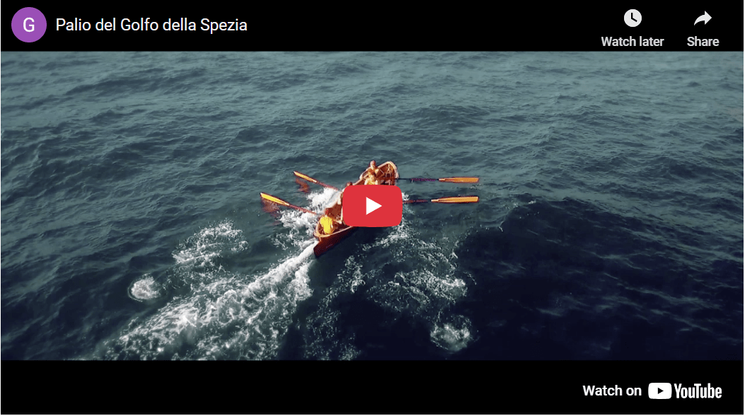 video of the palio of the gulf